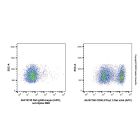 Rat IgG2b-kappa (APC), anti-Spike RBD