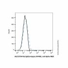 Rat IgG2a-kappa (AF405), anti-Spike RBD