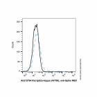 Rat IgG2a-kappa (AF700), anti-Spike RBD