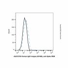 Human IgG1-kappa (AF405), anti-Spike RBD