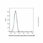 Human IgG1-kappa (AF647), anti-Spike RBD