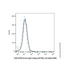 Human IgG1-kappa (AF700), anti-Spike RBD