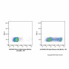 Mouse IgG2a-kappa (Biotin), anti-A29L