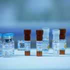 Pidilizumab (anti-PD-1)