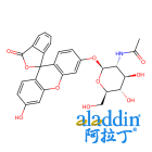 荧光素单β-DN-乙酰氨基葡萄糖