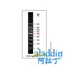 Gelred-prestained DNA Ladder (50-500bp)