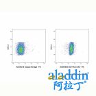 CD31 Rat mAb