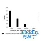 Goat Anti-Mouse IgG H&L (HRP)
