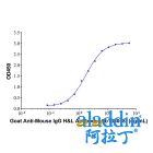 Goat Anti-Mouse IgG H&L Antibody