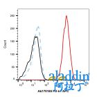 Recombinant PD-L1 Antibody (APC)