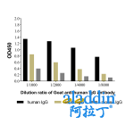 Goat Anti-Human IgG Antibody
