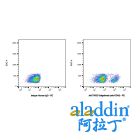 Sotigalimab (anti-CD40)