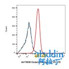 Cixutumumab (anti-IGF1R)