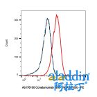 Conatumumab (anti-TNFRSF10B)