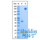 Mouse Anti-Human IgE epsilon chain Antibody