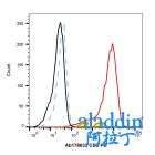 Recombinant CD3 Antibody (PE)