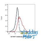 Cetrelimab (anti-PDCD1)