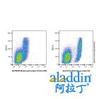 CD33 Mouse mAb (PE)