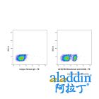 Bleselumab (anti-CD40)