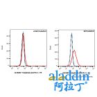 Toripalimab (anti-PD-1)