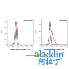 Manelimab (anti-PD-L1)