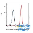 Human IgG1-lambda1, anti-Spike RBD