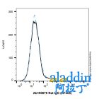 Rat IgG (AF405)