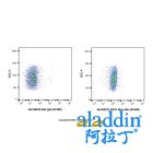 CD31 Rat mAb (AF488)