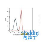 CD31 Rat mAb (AF647)
