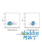 CD31 Rat mAb (PE-Cy5)