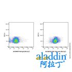 CD31 Rat mAb (PE-Cy7)
