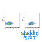 CD31 Rat mAb (APC-Cy7)