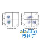 Rat IgG (AF488)