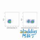 Recombinant MHC Class II Antibody