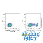 Mouse IgG2a-kappa (AF647), anti-Spike RBD
