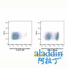 Rat IgG2b-kappa (AF405), anti-Spike RBD