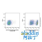 Rat IgG2b-kappa (AF647), anti-Spike RBD