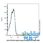Rat IgG2a-kappa (AF555), anti-Spike RBD