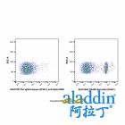 Rat IgG2a-kappa (AF647), anti-Spike RBD