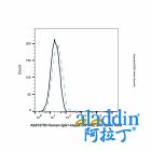 Human IgG1-kappa (AF405), anti-Spike RBD