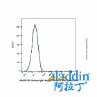 Human IgG1-kappa (AF647), anti-Spike RBD