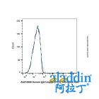Human IgG1-kappa (FITC), anti-Spike RBD