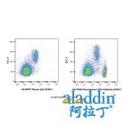 Recombinant CD4 Antibody (AF647)