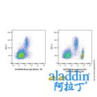 Recombinant CD4 Antibody (Biotin)