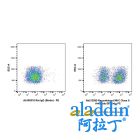 Recombinant MHC Class II Antibody (Biotin)