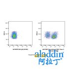 Recombinant MHC Class II Antibody (AF405)