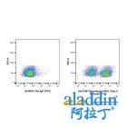 Recombinant MHC Class II Antibody (FITC)
