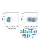 Recombinant MHC Class II Antibody (PE)
