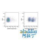 Recombinant MHC Class II Antibody (PE-Cy5)