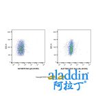 CD31 Rat mAb (AF405)